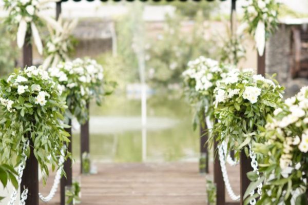 Garden (17)